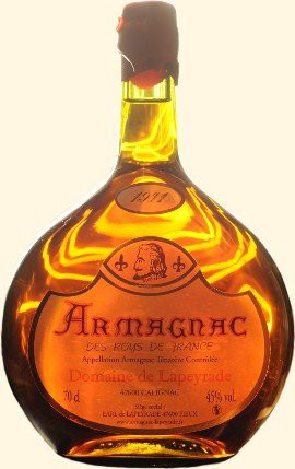 Welcome to the Domaine de Lapeyrade! Bottle of our Armagnac des Roys de France (vintage of high age: the Armagnac inside the botle was left in a oak barrel since 1970), The élixir of Ténarèze.